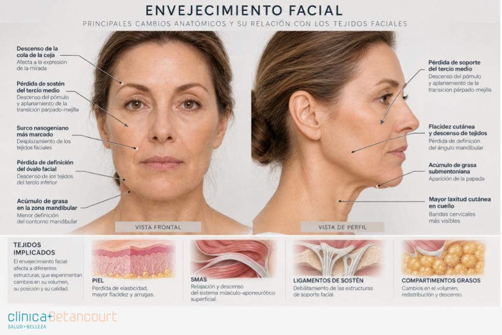 Tipos de envejecimiento facial